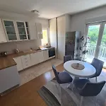 Apartmán Trebisnjica *